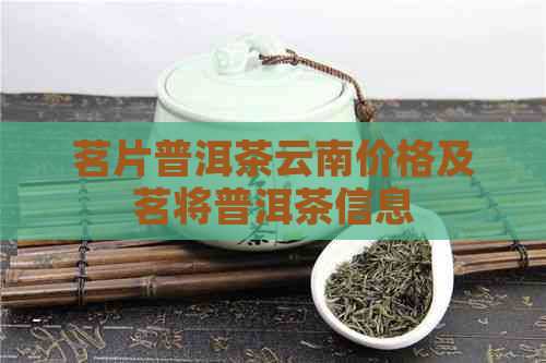 茗片普洱茶云南价格及茗将普洱茶信息