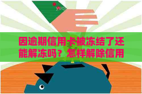 因逾期信用卡被冻结了还能解冻吗？怎样解除信用卡逾期冻结状态？