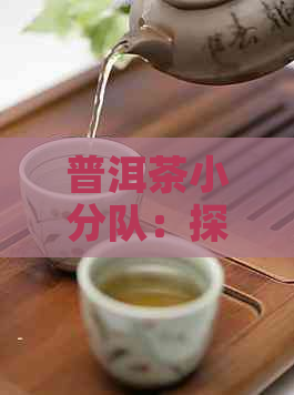 普洱茶小分队：探索、品鉴与购买指南，让你全面了解普洱茶的魅力和选择方法