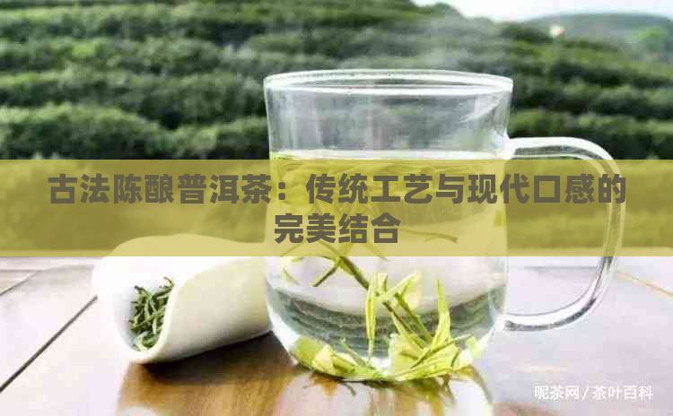 古法陈酿普洱茶：传统工艺与现代口感的完美结合