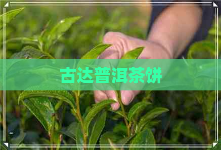 古达普洱茶饼