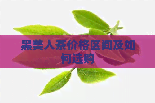 黑美人茶价格区间及如何选购