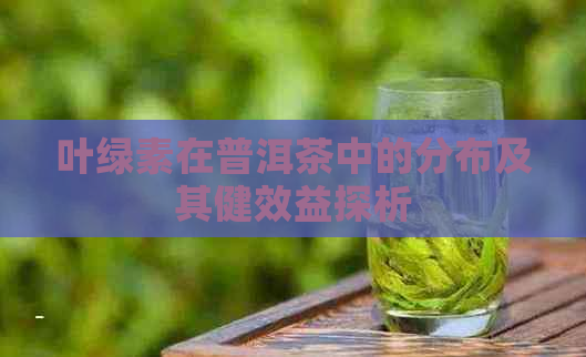 叶绿素在普洱茶中的分布及其健效益探析