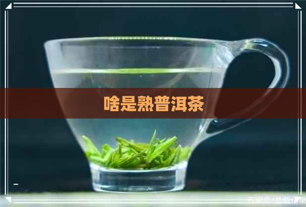 啥是熟普洱茶