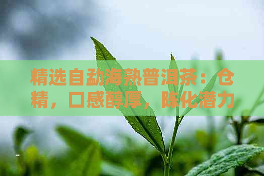 精选自勐海熟普洱茶：仓精，口感醇厚，陈化潜力无与伦比