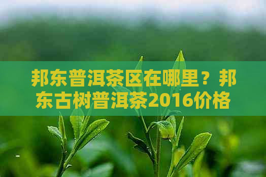 邦东普洱茶区在哪里？邦东古树普洱茶2016价格及种类概述。