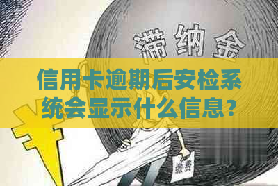 信用卡逾期后安检系统会显示什么信息？如何解决逾期问题和避免安检麻烦？