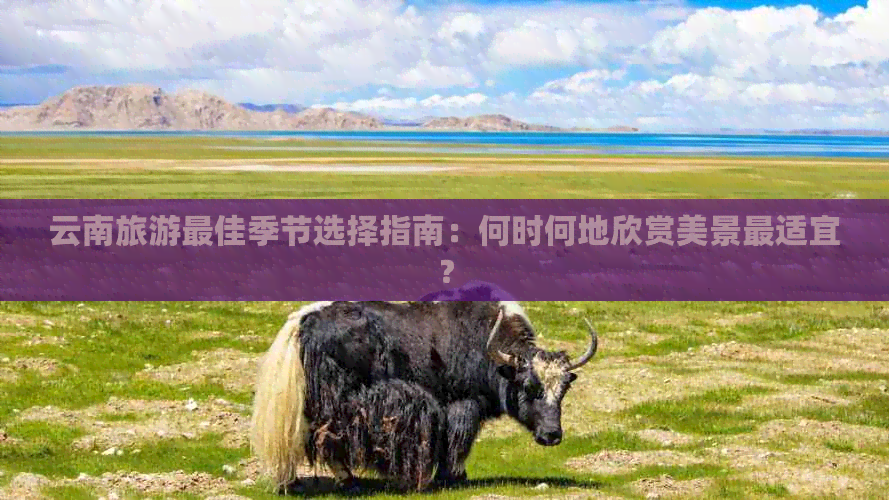 云南旅游更佳季节选择指南：何时何地欣赏美景最适宜？