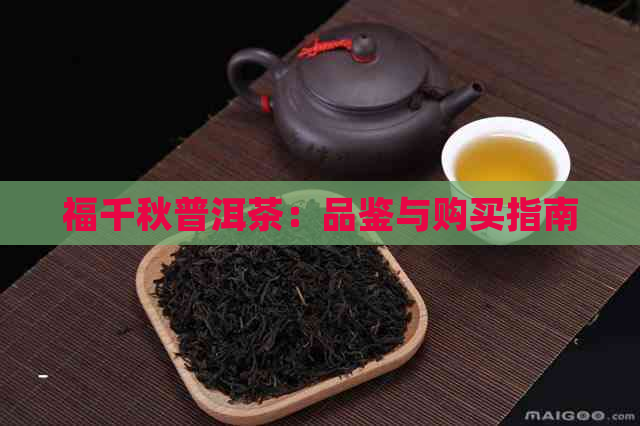 福千秋普洱茶：品鉴与购买指南