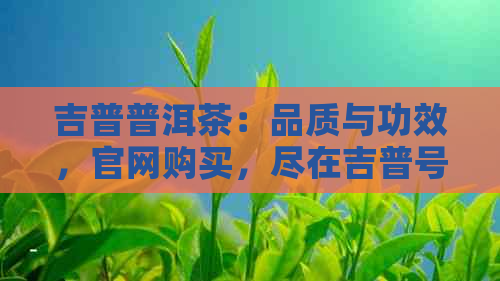 吉普普洱茶：品质与功效，官网购买，尽在吉普号普洱茶。