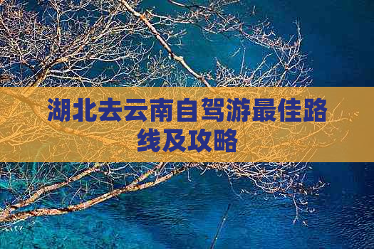 湖北去云南自驾游更佳路线及攻略