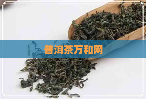 普洱茶万和网