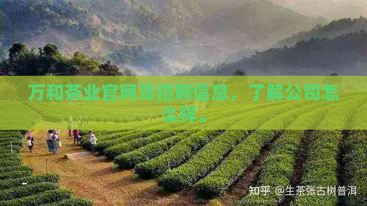 万和茶业官网及招聘信息，了解公司怎么样。