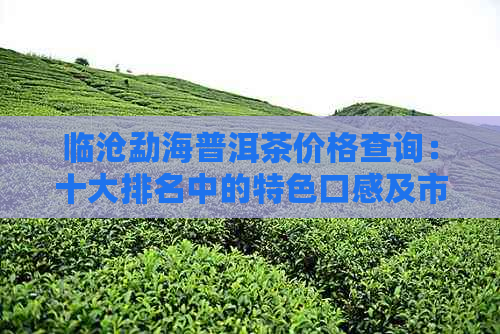 临沧勐海普洱茶价格查询：十大排名中的特色口感及市场价值