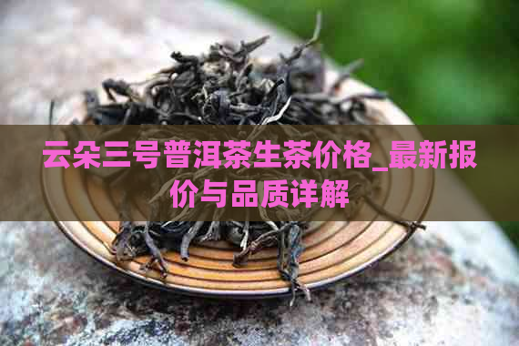 云朵三号普洱茶生茶价格_最新报价与品质详解