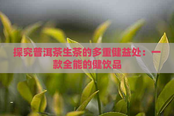 探究普洱茶生茶的多重健益处：一款全能的健饮品