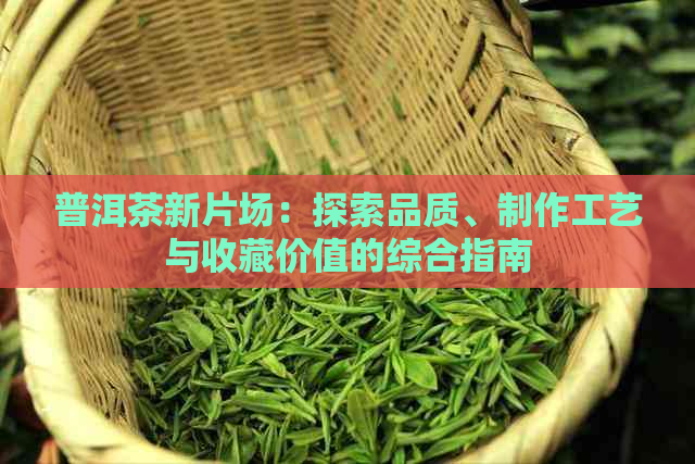 普洱茶新片场：探索品质、制作工艺与收藏价值的综合指南