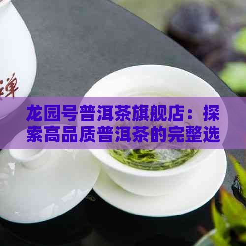 龙园号普洱茶旗舰店：探索高品质普洱茶的完整选择与购买指南