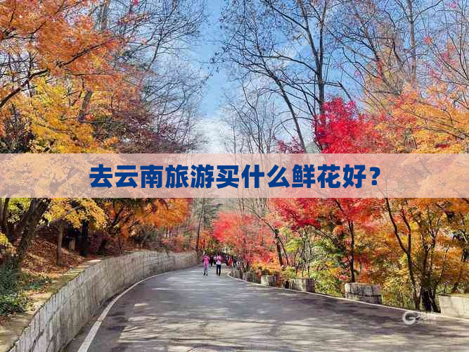 去云南旅游买什么鲜花好？