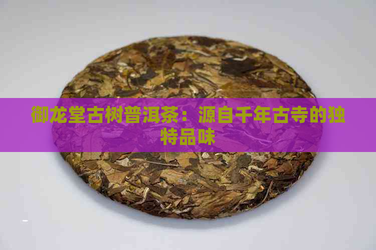 御龙堂古树普洱茶：源自千年古寺的独特品味