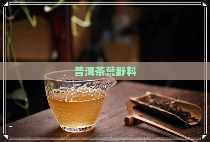 普洱茶荒野料