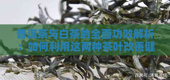 普洱茶与白茶的全面功效解析：如何利用这两种茶叶改善健状况？