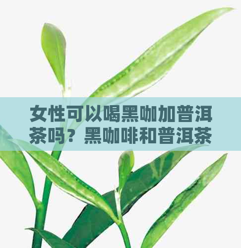 女性可以喝黑咖加普洱茶吗？黑咖啡和普洱茶可以一起饮用吗？