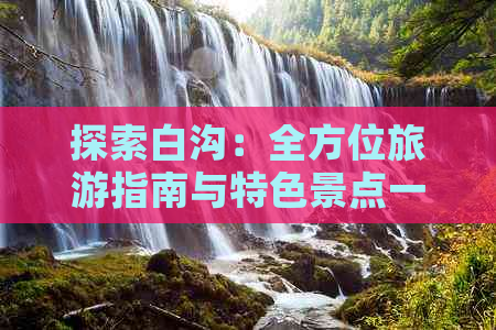 探索白沟：全方位旅游指南与特色景点一览