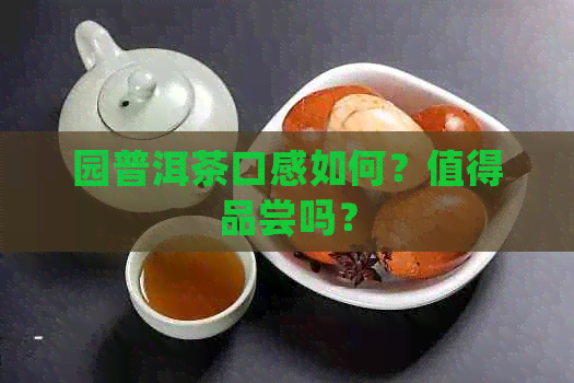 园普洱茶口感如何？值得品尝吗？