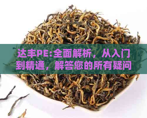 达丰PE:全面解析，从入门到精通，解答您的所有疑问