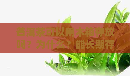 普洱茶可以用木箱存放吗？为什么？能长期存放吗？