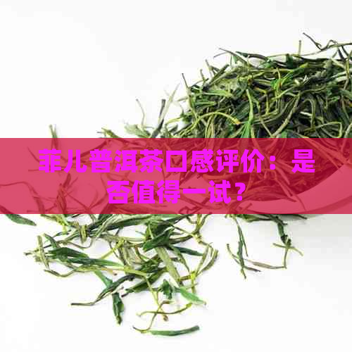 菲儿普洱茶口感评价：是否值得一试？