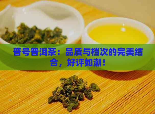 普号普洱茶：品质与档次的完美结合，好评如潮！