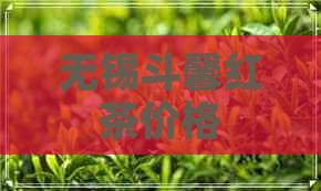 无锡斗馨红茶价格