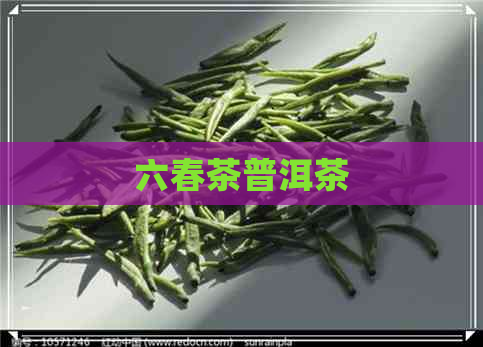 六春茶普洱茶