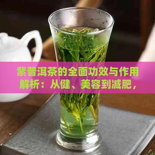 紫普洱茶的全面功效与作用解析：从健、美容到减肥，一文解答您的所有疑问