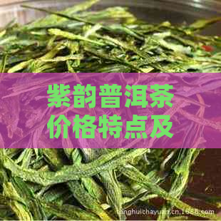 紫韵普洱茶价格特点及357克售价：书品鉴体验