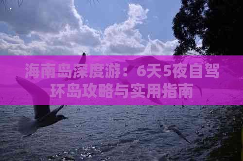 海南岛深度游：6天5夜自驾环岛攻略与实用指南