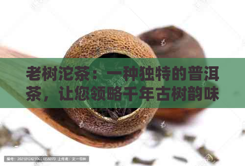 老树沱茶：一种独特的普洱茶，让您领略千年古树韵味