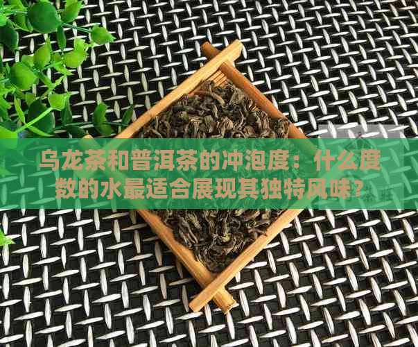 乌龙茶和普洱茶的冲泡度：什么度数的水最适合展现其独特风味？