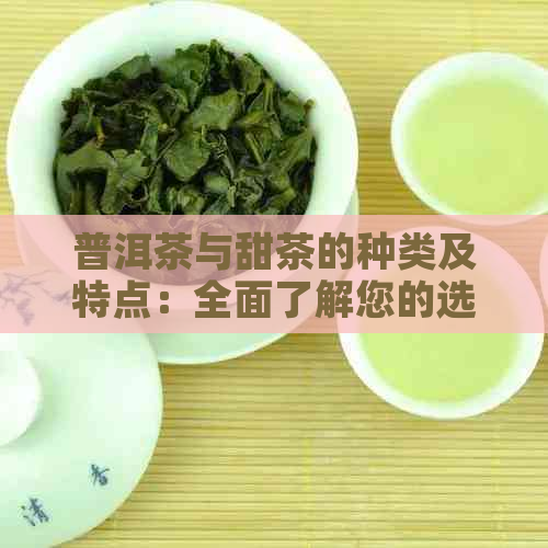 普洱茶与甜茶的种类及特点：全面了解您的选择