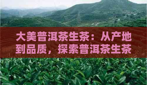 大美普洱茶生茶：从产地到品质，探索普洱茶生茶的全面指南