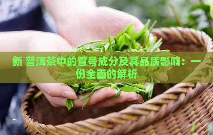 新 普洱茶中的冒号成分及其品质影响：一份全面的解析