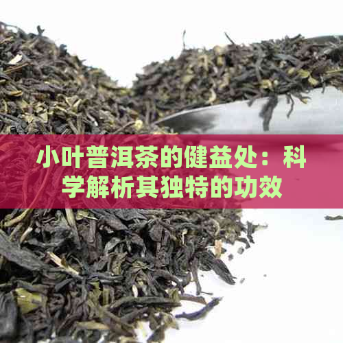 小叶普洱茶的健益处：科学解析其独特的功效