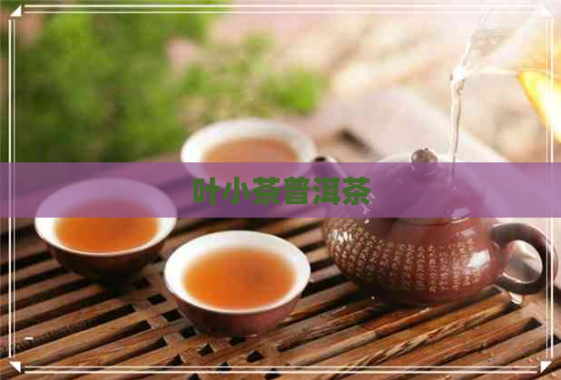 叶小茶普洱茶