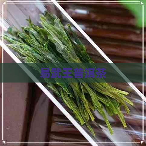 易武王普洱茶