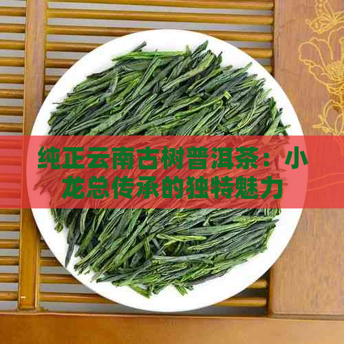 纯正云南古树普洱茶：小龙总传承的独特魅力