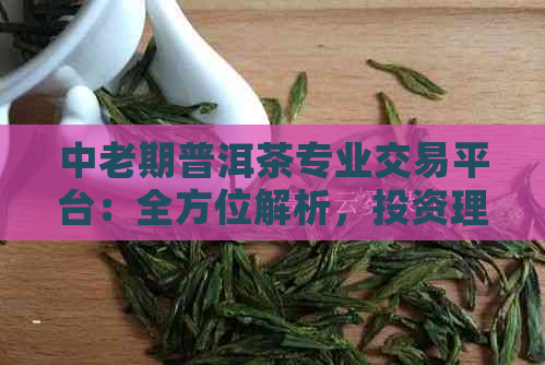 中老期普洱茶专业交易平台：全方位解析，投资理财首选