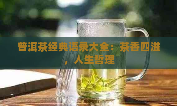 普洱茶经典语录大全：茶香四溢，人生哲理