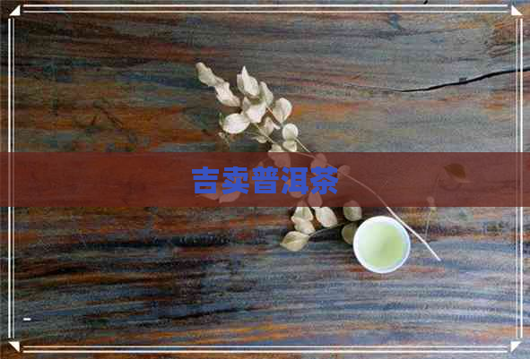 吉卖普洱茶